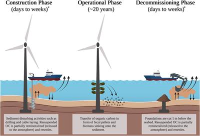 A first estimate of the effect of offshore wind farms on sedimentary organic carbon stocks in the Southern North Sea